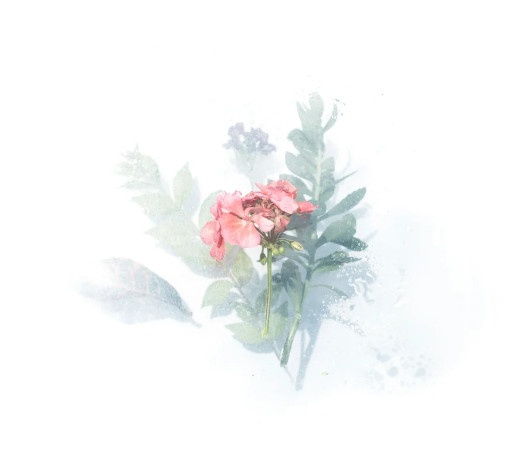 Watercolor painting
